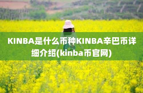 KINBA是什么币种KINBA辛巴币详细介绍(kinba币官网)