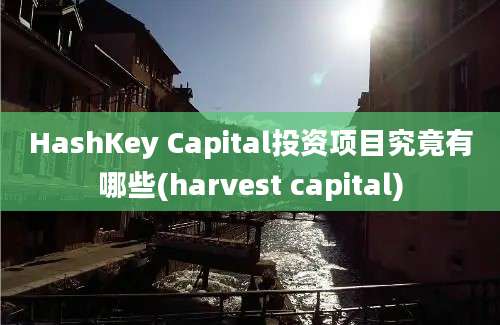 HashKey Capital投资项目究竟有哪些(harvest capital)