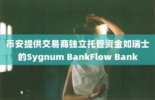 币安提供交易商独立托管资金如瑞士的Sygnum BankFlow Bank