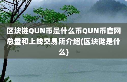 区块链QUN币是什么币QUN币官网总量和上线交易所介绍(区块链是什么)