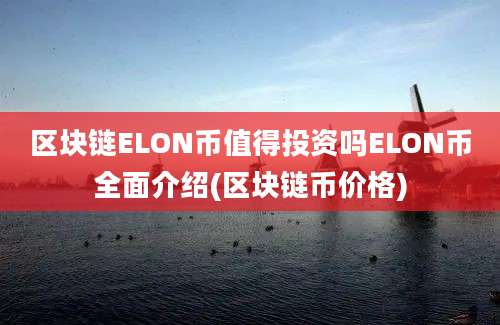 区块链ELON币值得投资吗ELON币全面介绍(区块链币价格)