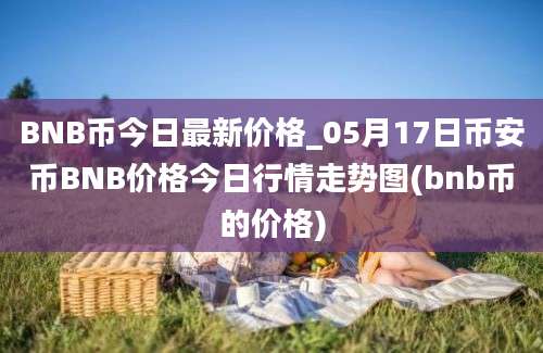 BNB币今日最新价格_05月17日币安币BNB价格今日行情走势图(bnb币的价格)