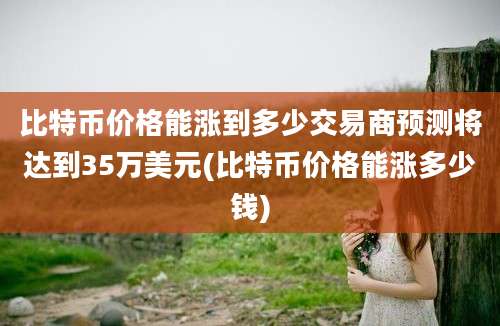 比特币价格能涨到多少交易商预测将达到35万美元(比特币价格能涨多少钱)