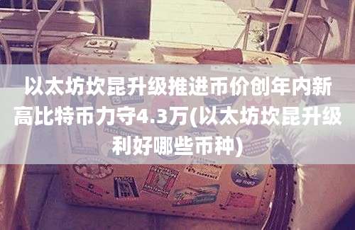 以太坊坎昆升级推进币价创年内新高比特币力守4.3万(以太坊坎昆升级利好哪些币种)