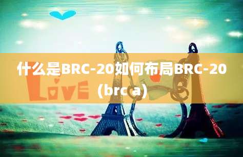 什么是BRC-20如何布局BRC-20(brc a)