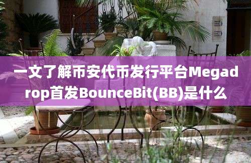 一文了解币安代币发行平台Megadrop首发BounceBit(BB)是什么