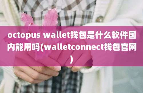 octopus wallet钱包是什么软件国内能用吗(walletconnect钱包官网)