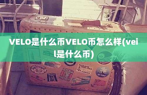 VELO是什么币VELO币怎么样(veil是什么币)