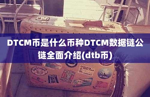 DTCM币是什么币种DTCM数据链公链全面介绍(dtb币)