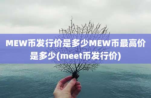 MEW币发行价是多少MEW币最高价是多少(meet币发行价)