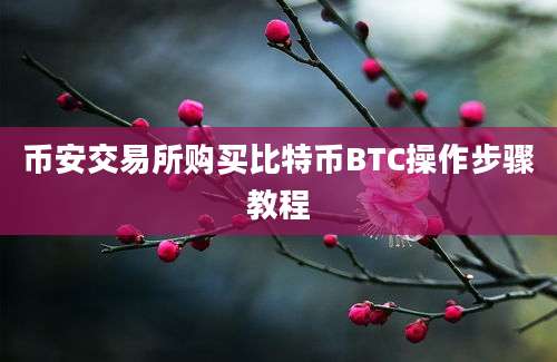 币安交易所购买比特币BTC操作步骤教程