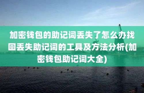 加密钱包的助记词丢失了怎么办找回丢失助记词的工具及方法分析(加密钱包助记词大全)