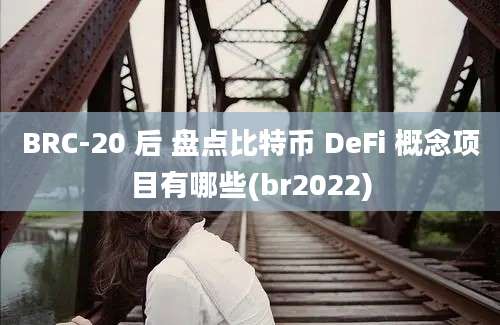 BRC-20 后 盘点比特币 DeFi 概念项目有哪些(br2022)