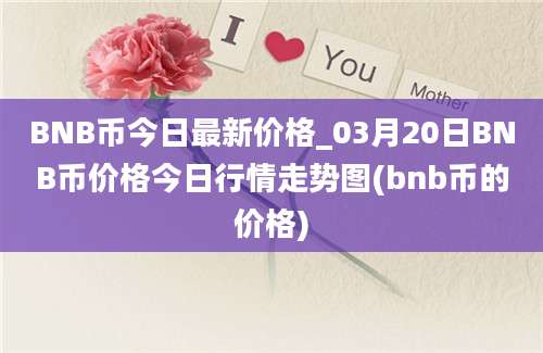 BNB币今日最新价格_03月20日BNB币价格今日行情走势图(bnb币的价格)