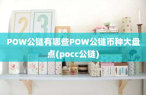 POW公链有哪些POW公链币种大盘点(pocc公链)