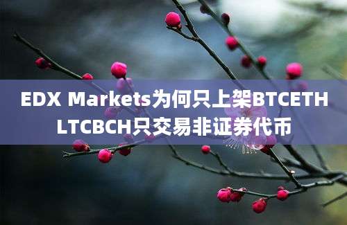 EDX Markets为何只上架BTCETHLTCBCH只交易非证券代币