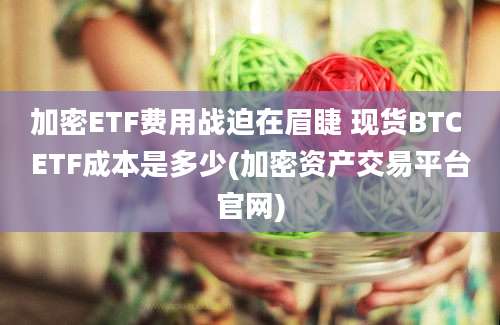 加密ETF费用战迫在眉睫 现货BTC ETF成本是多少(加密资产交易平台官网)