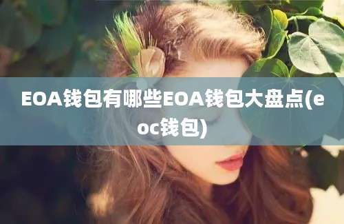 EOA钱包有哪些EOA钱包大盘点(eoc钱包)