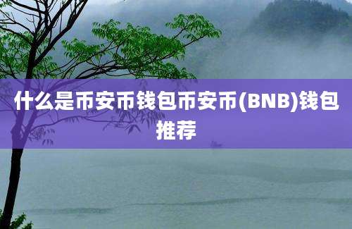 什么是币安币钱包币安币(BNB)钱包推荐