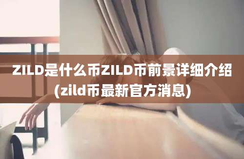 ZILD是什么币ZILD币前景详细介绍(zild币最新官方消息)