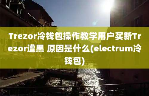 Trezor冷钱包操作教学用户买新Trezor遭黑 原因是什么(electrum冷钱包)