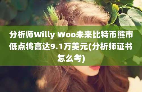 分析师Willy Woo未来比特币熊市低点将高达9.1万美元(分析师证书怎么考)