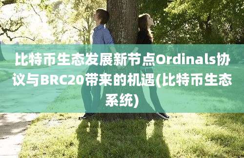 比特币生态发展新节点Ordinals协议与BRC20带来的机遇(比特币生态系统)