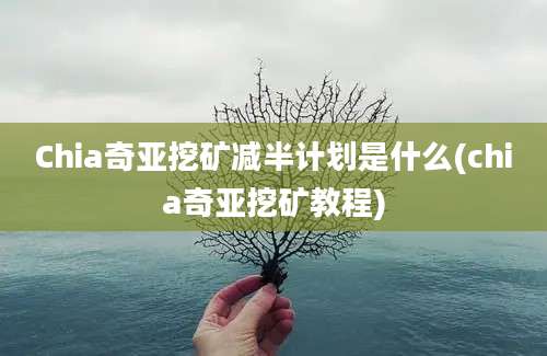 Chia奇亚挖矿减半计划是什么(chia奇亚挖矿教程)