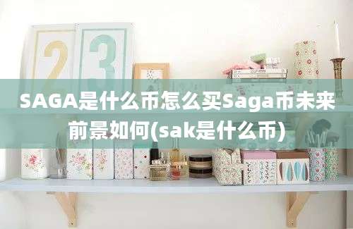 SAGA是什么币怎么买Saga币未来前景如何(sak是什么币)