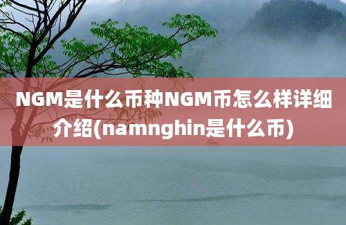 NGM是什么币种NGM币怎么样详细介绍(namnghin是什么币)