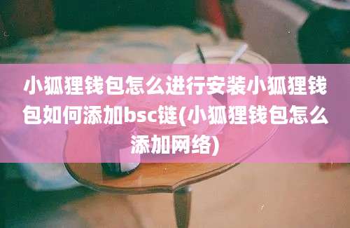 小狐狸钱包怎么进行安装小狐狸钱包如何添加bsc链(小狐狸钱包怎么添加网络)