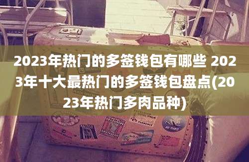 2023年热门的多签钱包有哪些 2023年十大最热门的多签钱包盘点(2023年热门多肉品种)