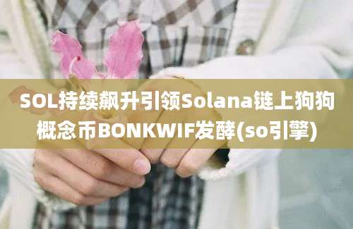 SOL持续飙升引领Solana链上狗狗概念币BONKWIF发酵(so引擎)