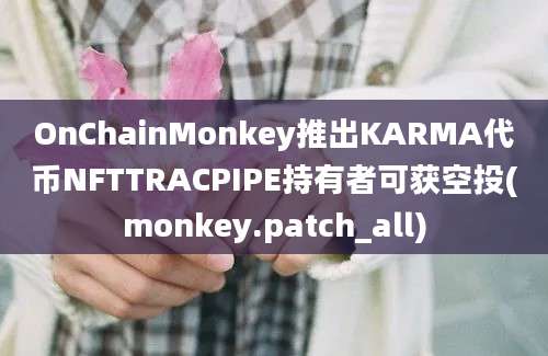 OnChainMonkey推出KARMA代币NFTTRACPIPE持有者可获空投(monkey.patch_all)