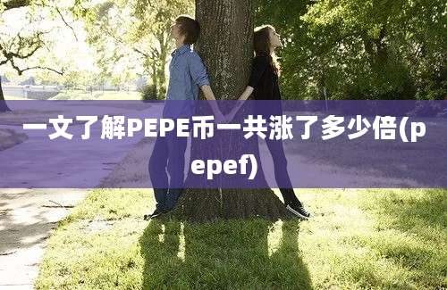 一文了解PEPE币一共涨了多少倍(pepef)