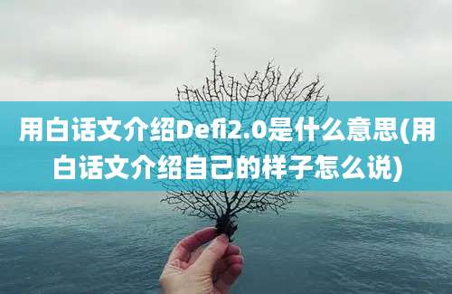 用白话文介绍Defi2.0是什么意思(用白话文介绍自己的样子怎么说)