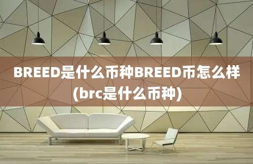 BREED是什么币种BREED币怎么样(brc是什么币种)