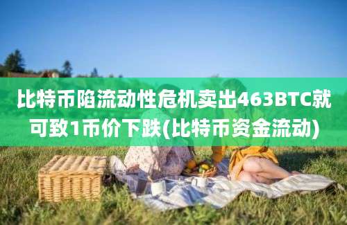 比特币陷流动性危机卖出463BTC就可致1币价下跌(比特币资金流动)