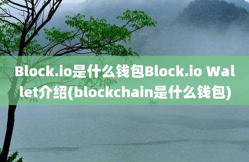 Block.io是什么钱包Block.io Wallet介绍(blockchain是什么钱包)