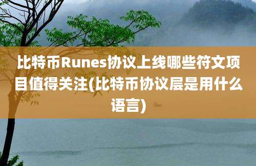 比特币Runes协议上线哪些符文项目值得关注(比特币协议层是用什么语言)