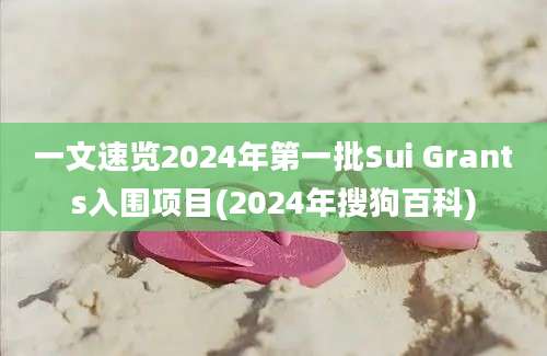 一文速览2024年第一批Sui Grants入围项目(2024年搜狗百科)