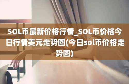 SOL币最新价格行情_SOL币价格今日行情美元走势图(今日sol币价格走势图)