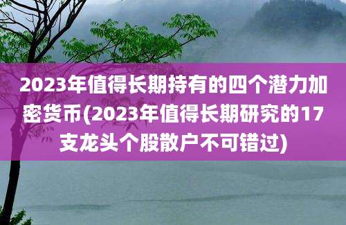 2023年值得长期持有的四个潜力加密货币(2023年值得长期研究的17支龙头个股散户不可错过)