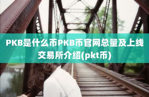 PKB是什么币PKB币官网总量及上线交易所介绍(pkt币)