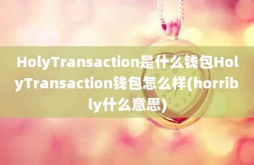 HolyTransaction是什么钱包HolyTransaction钱包怎么样(horribly什么意思)