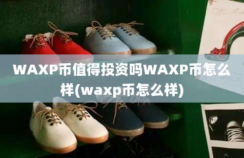 WAXP币值得投资吗WAXP币怎么样(waxp币怎么样)