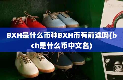 BXH是什么币种BXH币有前途吗(bch是什么币中文名)