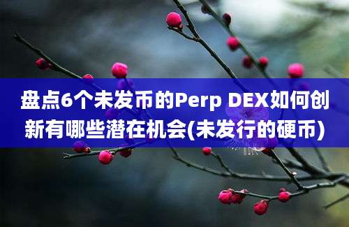 盘点6个未发币的Perp DEX如何创新有哪些潜在机会(未发行的硬币)