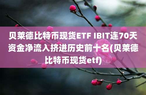 贝莱德比特币现货ETF IBIT连70天资金净流入挤进历史前十名(贝莱德比特币现货etf)