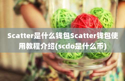 Scatter是什么钱包Scatter钱包使用教程介绍(scdo是什么币)